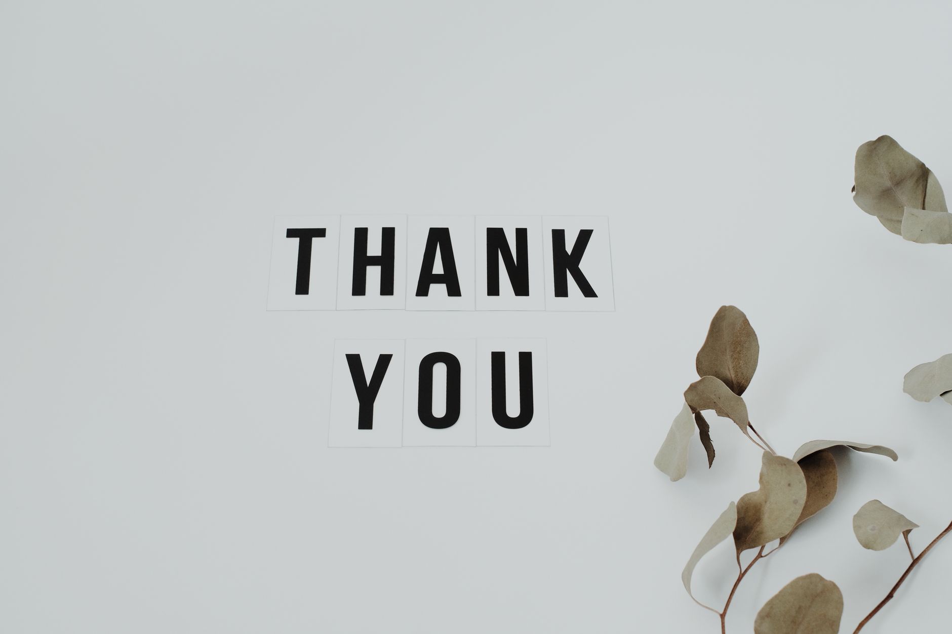 thank you messages for support - A minimalist thank you note with eucalyptus leaves, perfect for expressing gratitude.