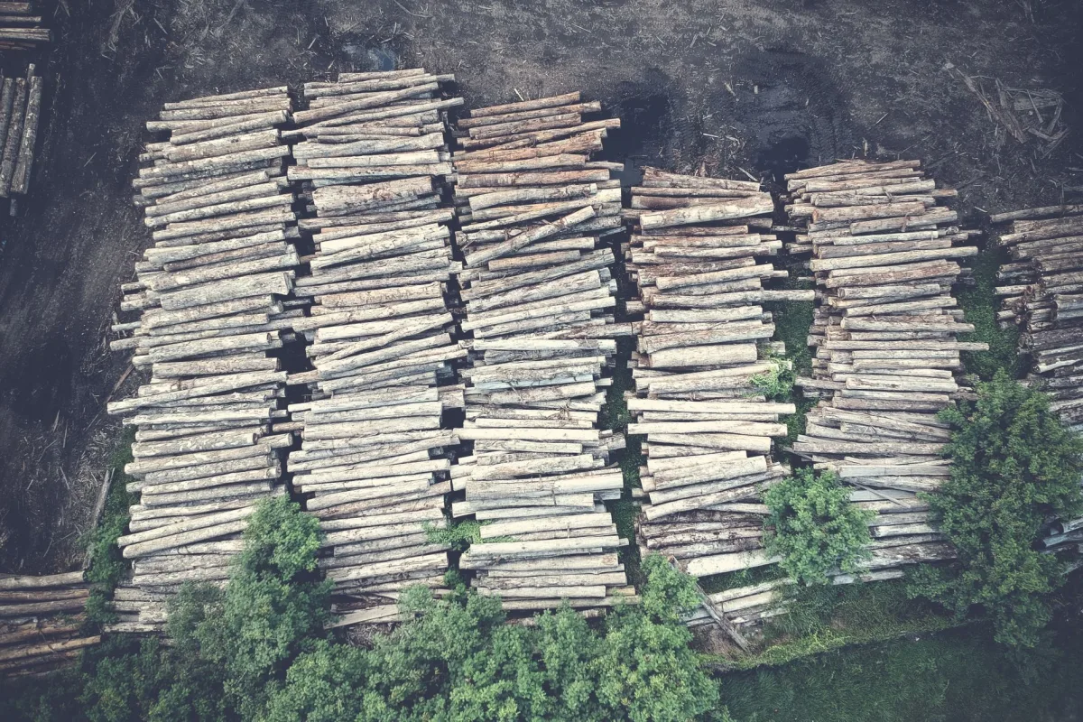 Understanding the Role of Message Logs in Customer Support - companies use message