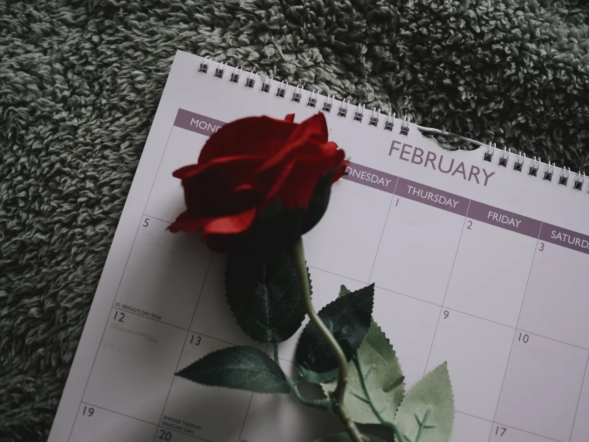 red rose rests on February calendar, symbolizing love and Valentine's Day.