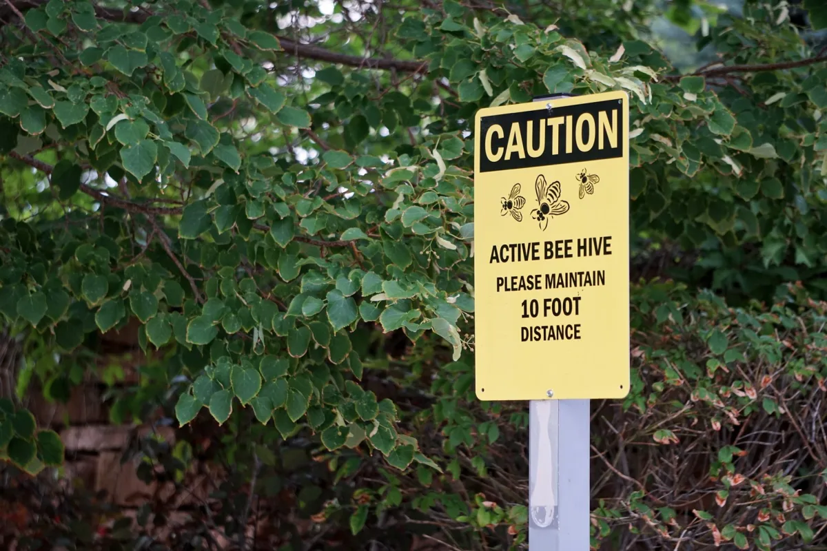 Yellow caution sign warning about active bee hive surrounded by green foliage.