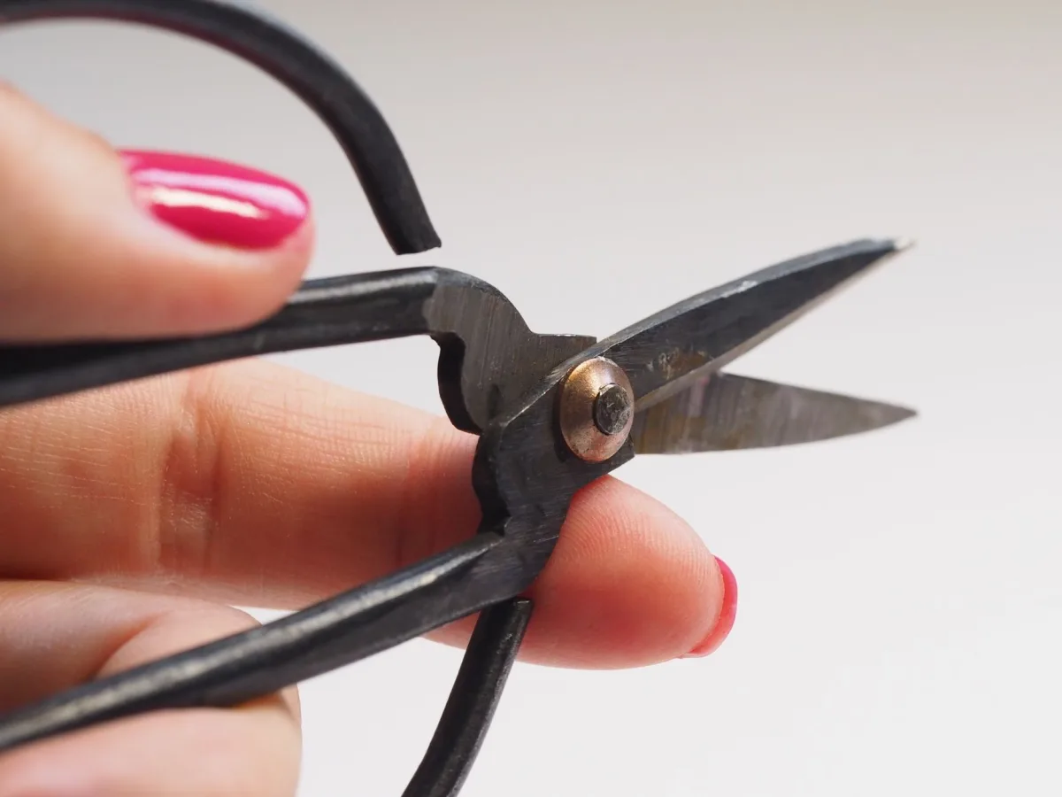 A detailed close-up of a hand with pink nail polish holding scissors, showcasing the sharp blades. A detailed close-up of a hand with pink nail polish holding scissors, showcasing the sharp blades.