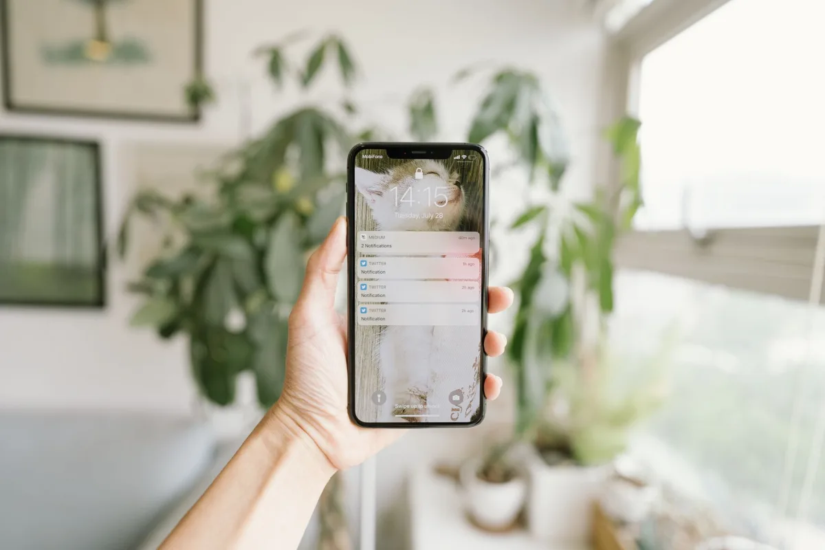 A hand holding a smartphone inside a modern, bright room with plants. A hand holding a smartphone inside a modern, bright room with plants.