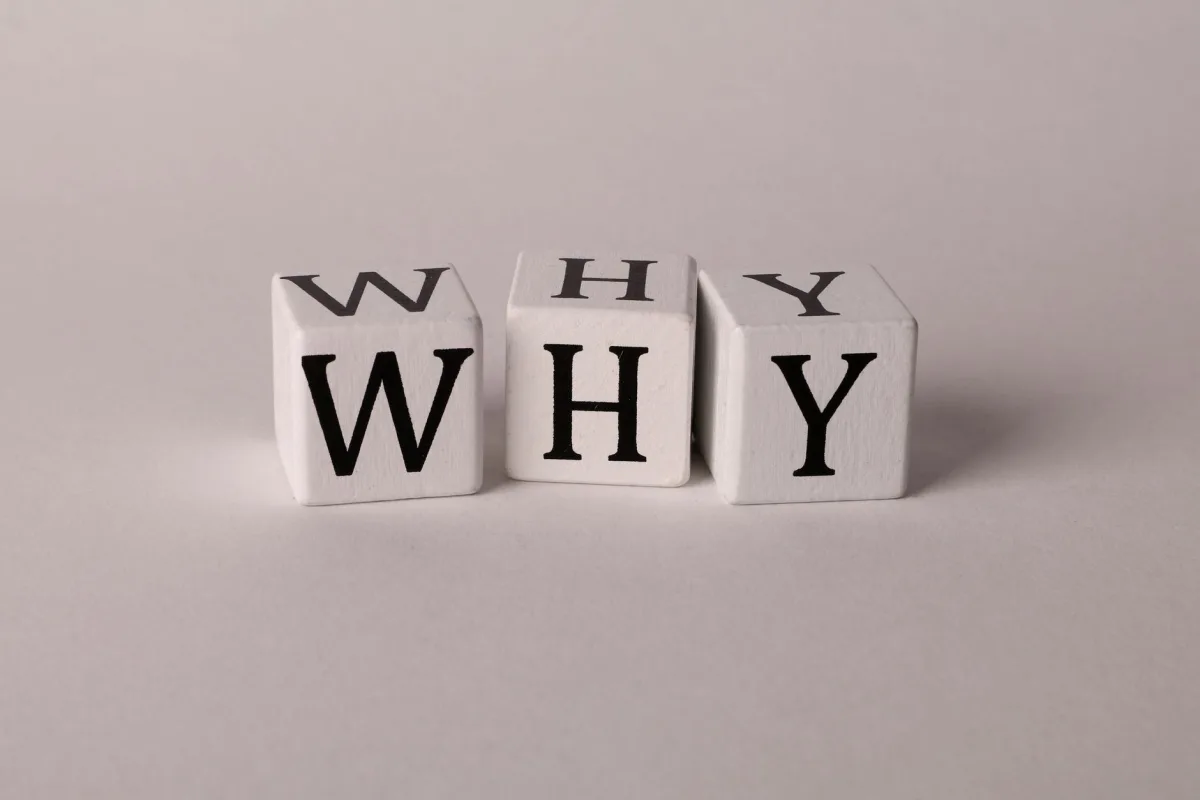 Close-up of lettered dice spelling 'WHY' on a neutral background, ideal for concepts of inquiry or curiosity. Close-up of lettered dice spelling 'WHY' on a neutral background, ideal for concepts of inquiry or curiosity.